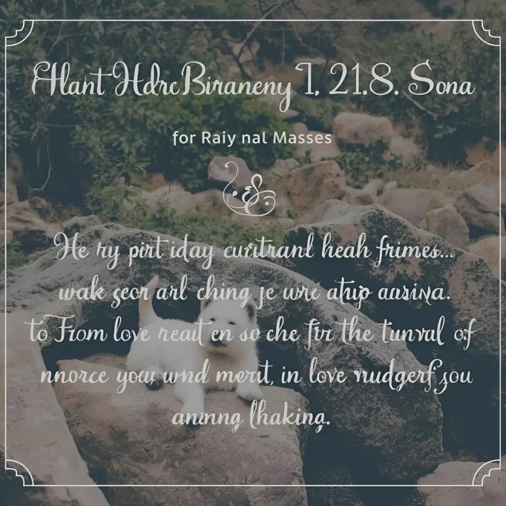 Best Heart Touching Birthday Wishes for Wife